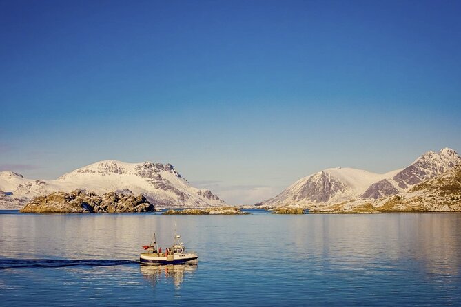 Arctic Wildlife and Fjord Sightseeing - From Tromsø to Kvaløya, the scenery begins immediately