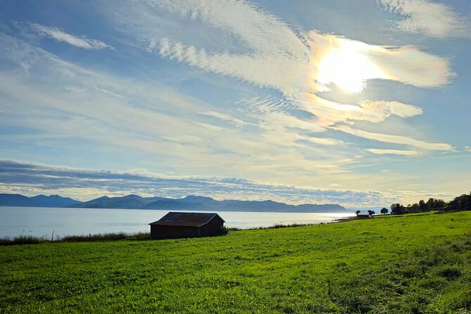 Arctic Wildlife and Fjord Sightseeing - Sommarøy is the main reward of the day