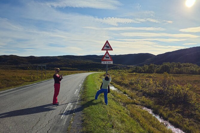 Arctic Wildlife and Fjord Sightseeing - Why the small van changes the experience
