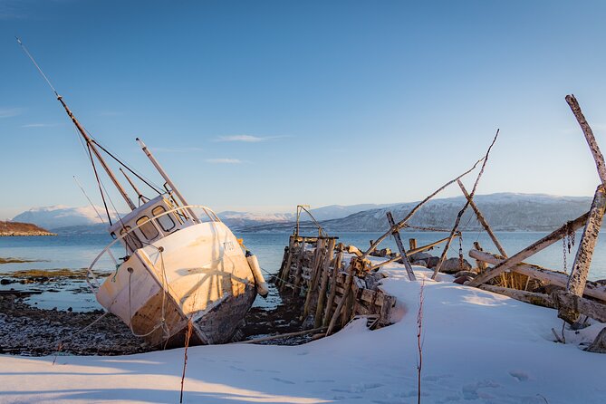 Arctic Wildlife and Fjord Sightseeing - Bryggejentene offers a warmer pause