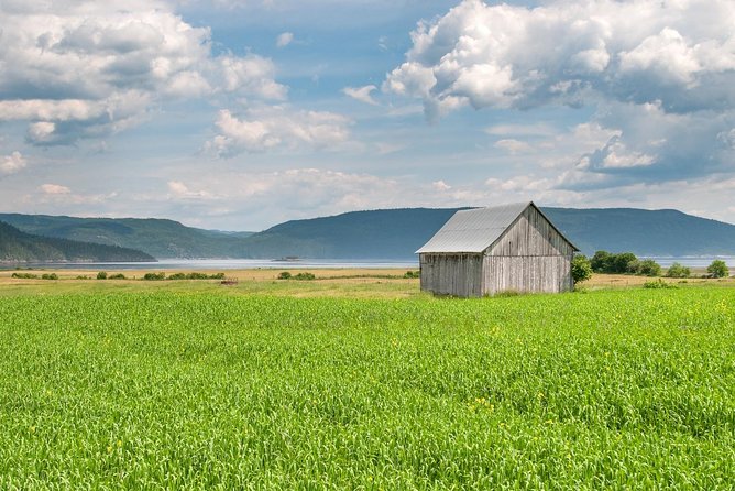 Back Country of the Fjord and the National Park - Price and shore-excursion value