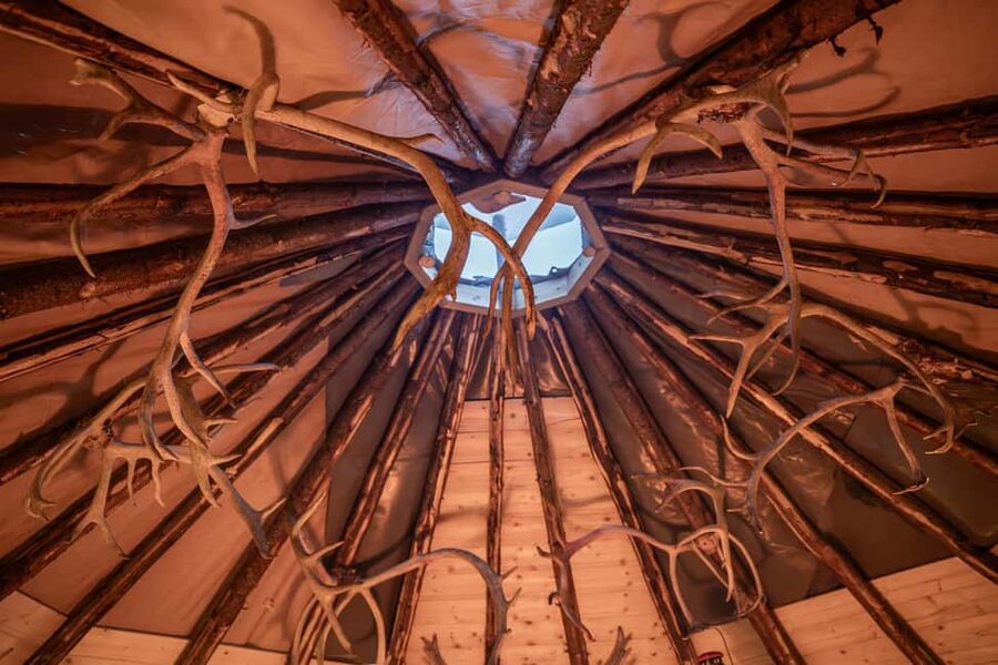 Balsfjord: Reindeer Sledding, Feeding & Sámi Culture - Key points to know before you book