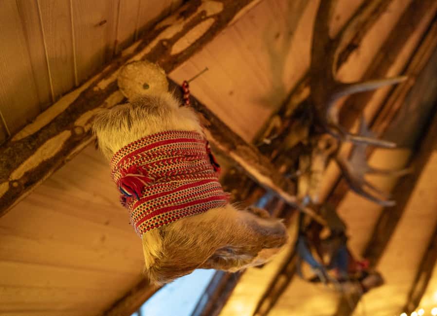 Balsfjord: Reindeer Sledding, Feeding & Sámi Culture - Feeding the herd of more than 400 reindeer