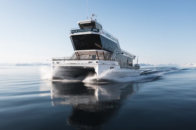 Beiarfjord & Saltstraumen Cruise with Guide - Key points to know before you go
