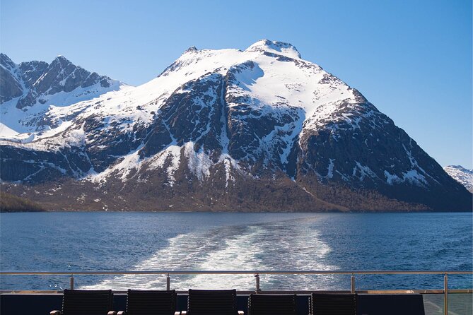 Beiarfjord & Saltstraumen Cruise with Guide - What the guide adds to the fjord views