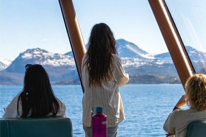 Beiarfjord & Saltstraumen Cruise with Guide - Is $85.30 good value for this cruise?