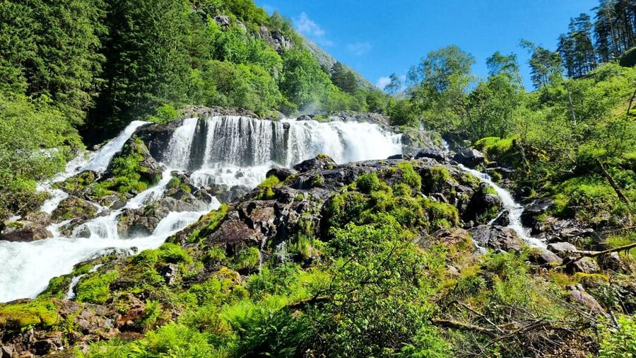 Bergen: Cruise to beautiful Rosendal by the Hardangerfjord - Why Rosendal makes a good day trip from Bergen