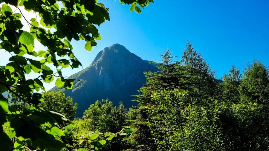 Bergen: Cruise to beautiful Rosendal by the Hardangerfjord - The Folgefonn Centre and local sights