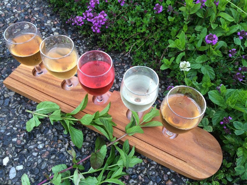 Bergen: Guided Fjord & Cidery Tour to Balestrand - Who will enjoy this tour most?