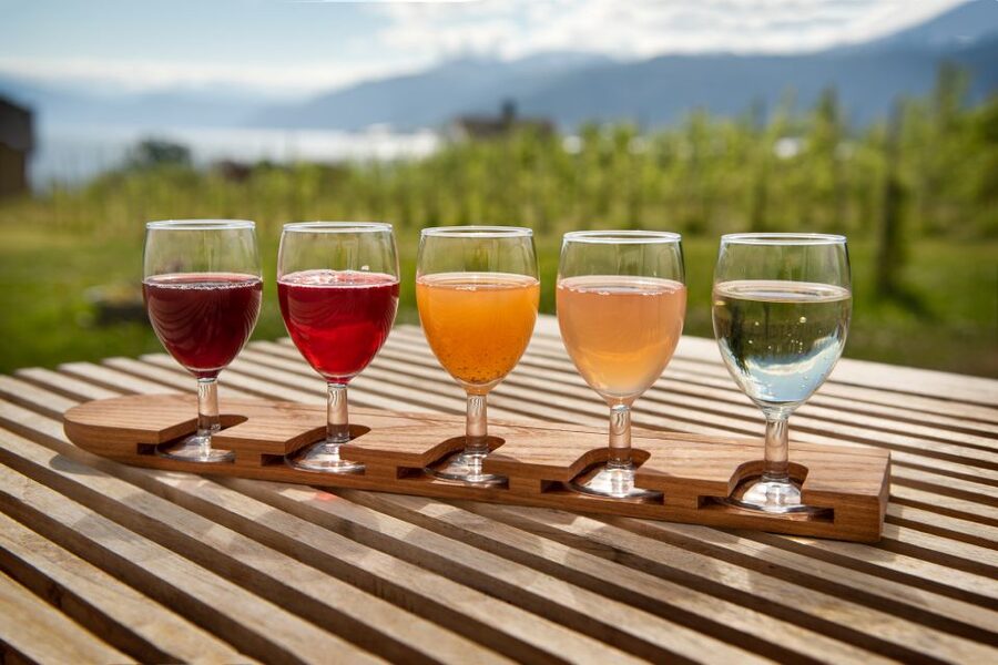 Bergen: Guided Fjord & Cidery Tour to Balestrand - Is $313 a fair price?