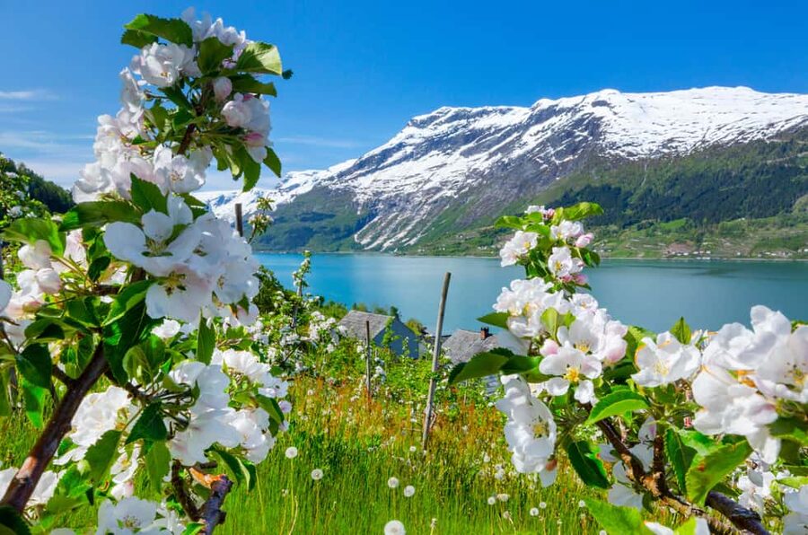 Bergen: Hardangerfjord & Waterfalls Bus Tour with Apple Pie - Kvamskogen brings the big mountain views