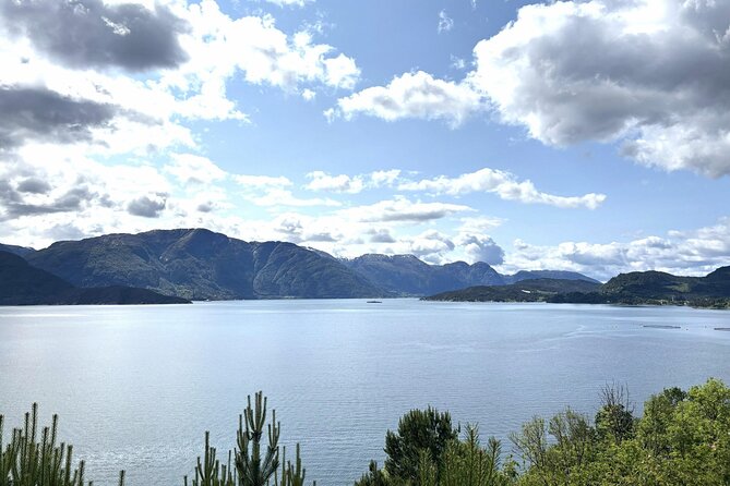 Bergen: Hardangerfjord, Waterfalls, Culture & Apple pie - Is $161.54 a fair price?