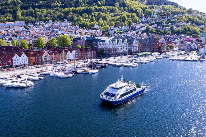 Bergen: Mostraumen Fjord Cruise with Local Guide - Waffles, hot drinks, and the practical comforts