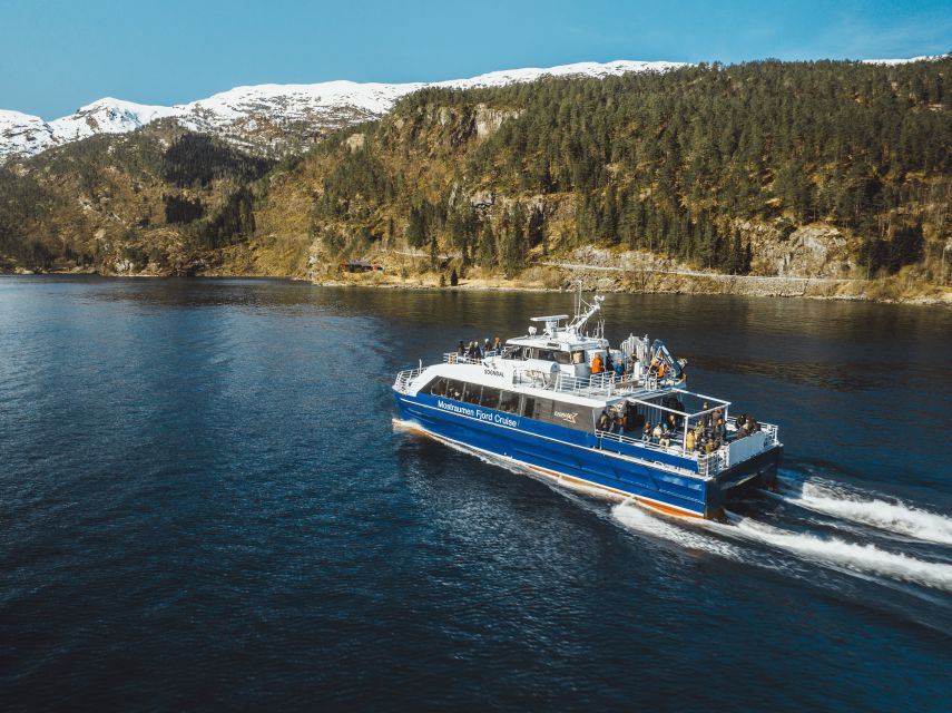 Bergen: Mostraumen Fjord Cruise - with Local Tour Guides - Should you book the Mostraumen cruise?
