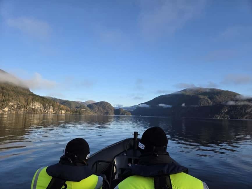 Bergen: Mostraumen Fjord Safari - by Premium RIB Boat - What the $166 price buys you
