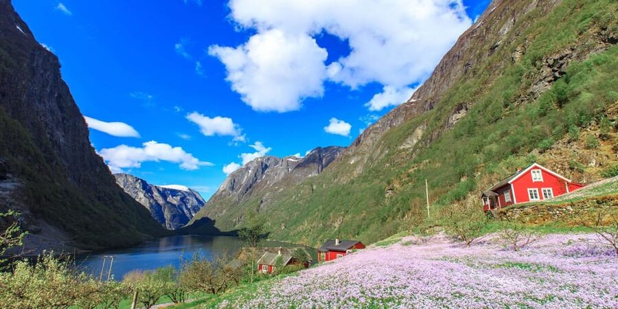 Bergen: Nærøyfjorden, Flåm, and Stegastein Guided Bus Tour - Key points to know before booking