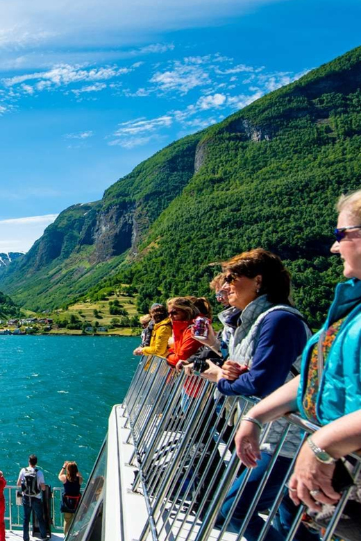 Bergen: Nærøyfjorden, Flåm, and Stegastein Guided Bus Tour - What the $309 price really buys you