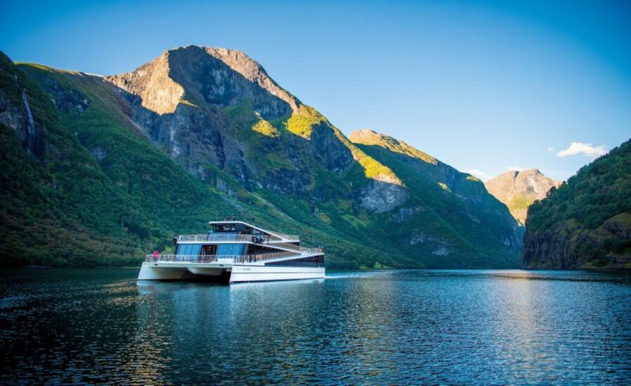 Bergen: Private Day Tour, Nærøyfjord Cruise and Flåm Railway - Who should book this experience?