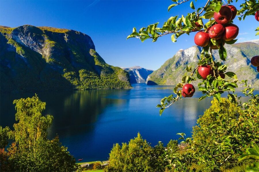 Bergen: Private Day Tour, Nærøyfjord Cruise and Flåm Railway - Cruising the narrow Nærøyfjord