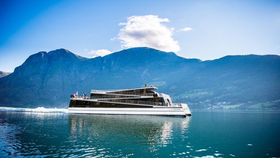 Bergen: Private Day Tour, Nærøyfjord Cruise and Flåm Railway - The Bergen Railway and the ride back to Bergen