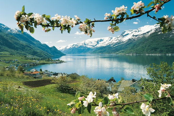 Bergen: Private Full-Day Roundtrip to Hardangerfjord with cruise - Seeing Hardangerfjord from the road and water