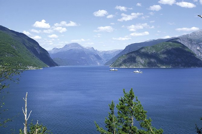 Bergen: Private Full-Day Roundtrip to Hardangerfjord with cruise - The private guide is the real practical advantage