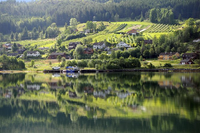 Bergen: Self-Guided Roundtrip (Sognefjord Cruise 5h & Flamsbana) - The train, bus, and boat connections