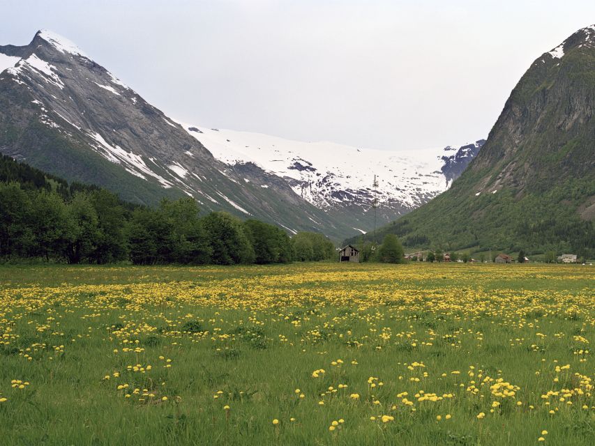 Bergen: Self-Guided Trip to Oslo with Sognefjord cruise (5h) - Why this Bergen to Oslo route works