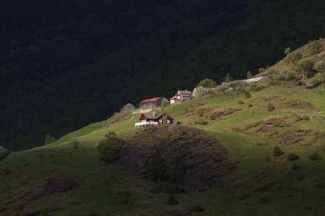 Bergen to Flam "The King of Fjords" One-Way or Round-Trip Cruise Ticket - Weather, comfort, and practical preparation