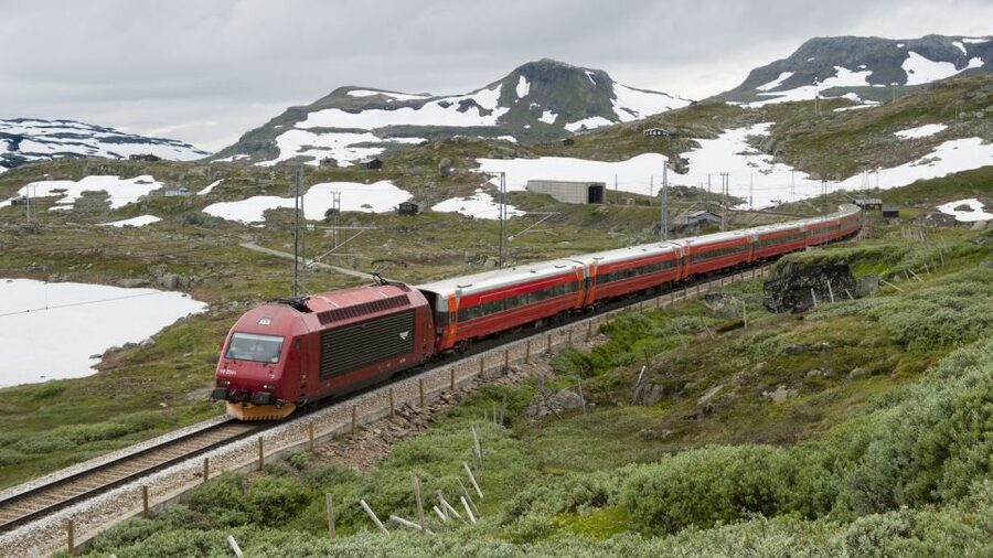Bergen to Oslo: Private Nærøyfjord Cruise and Flåm Railway - Njardarheimr Viking Village before the fjord