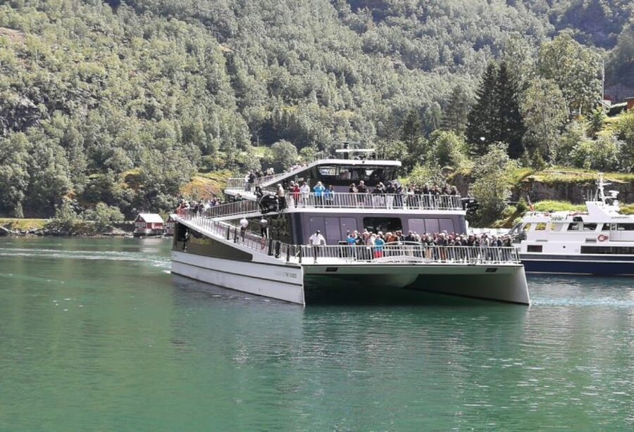 Bergen to Oslo: Private Nærøyfjord Cruise and Flåm Railway - Cruising the narrow Nærøyfjord