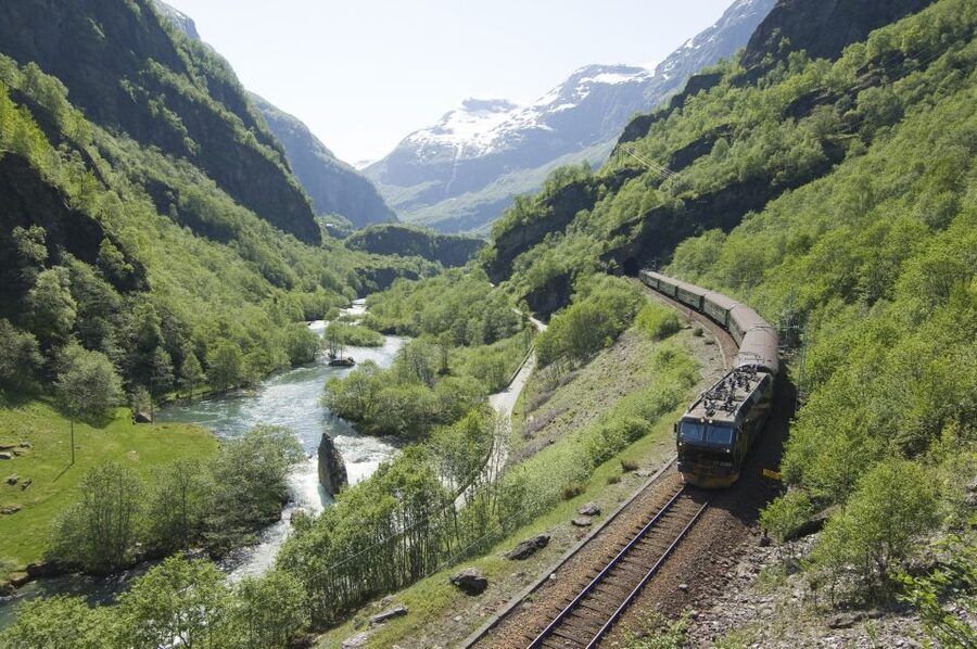 Bergen: Viking Village, Nærøyfjord Cruise & Flåm Railway - A short arrival in Flåm