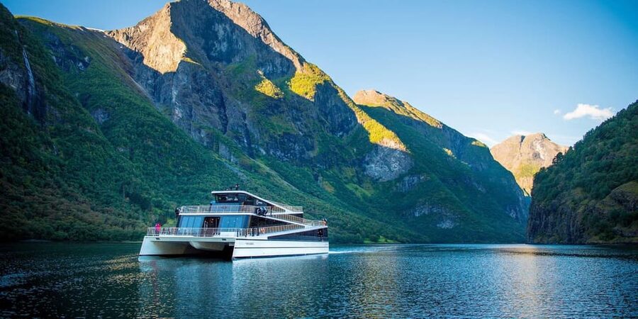 Bergen: Viking Village, Nærøyfjorden Cruise and Flåm Railway - Who should choose this Bergen day trip?
