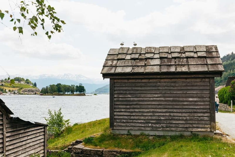 Bergen: Waterfalls of Hardangerfjord Shore Excursion - What the guides add to the day