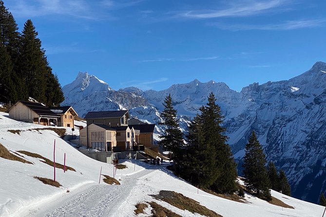 Best of the Uri Alps: A fjord-like lake, glorious peaks and sustainable tourism - Lake Uri, mountain views, and photo stops