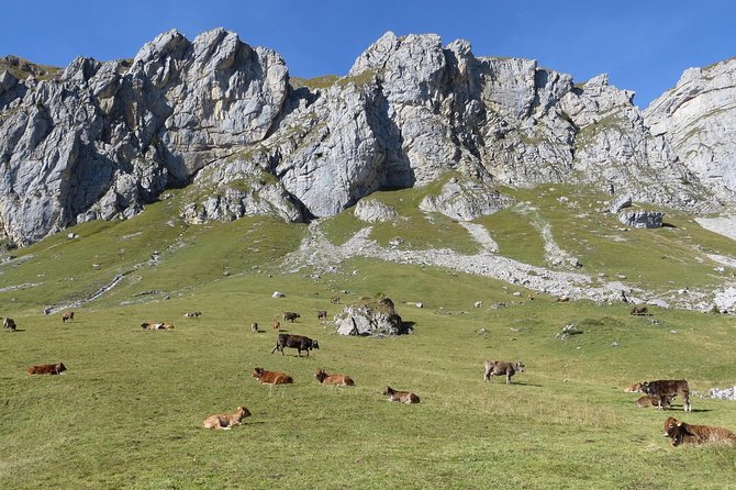 Best of the Uri Alps: A fjord-like lake, glorious peaks and sustainable tourism - A flexible start in Altdorf