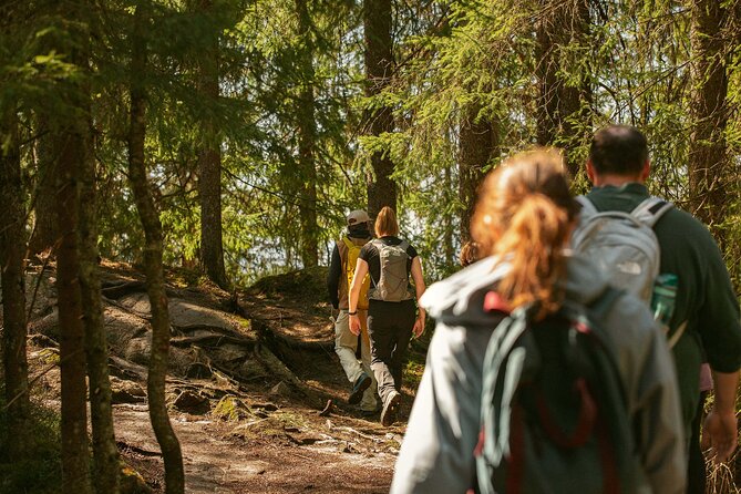 Best View of the Oslofjord Hike - Why Vettakollen is one of Oslo’s best viewpoints