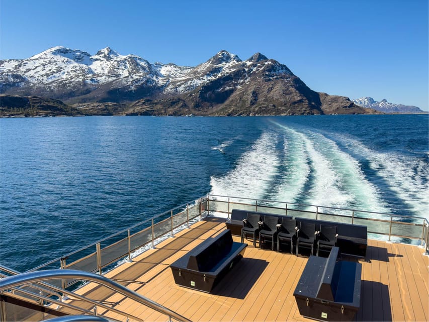 Bodø: Beiar Fjord & Saltstraument Cruise - Why this Bodø cruise is more than a quick boat ride