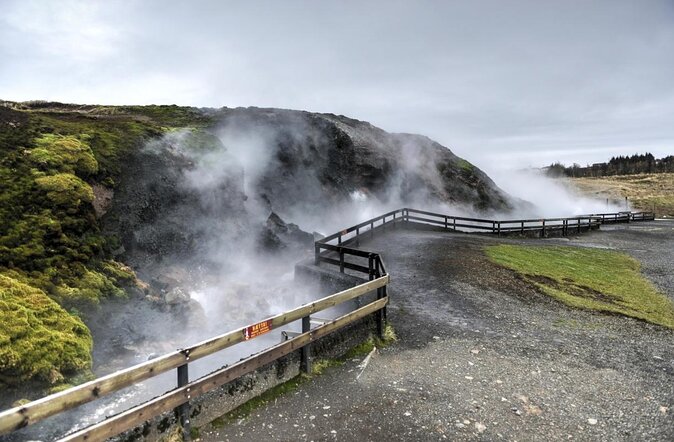 Borgarfjordur - private tour - Key points to know before booking