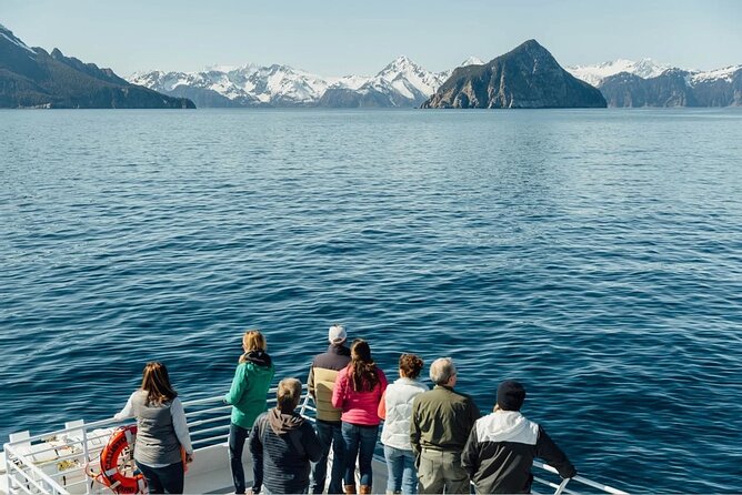 Captain's Choice Kenai Fjords National Park Tour from Seward - Wildlife watching beyond the postcard views
