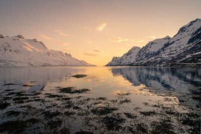 Discover the Fjords of Kvaloya – a roadtrip along fjords and fishing villages
