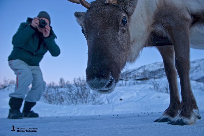 Discover the Fjords of Kvaloya - a roadtrip along fjords and fishing villages - Winter clothing and practical planning