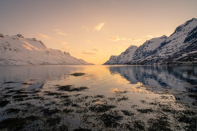 Discover the Fjords of Kvaloya - a roadtrip along fjords and fishing villages - Fjords, villages, and the best photo stops