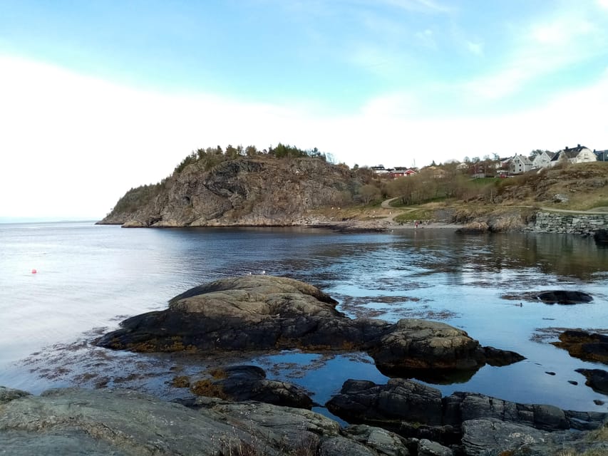 Discovery hike along the Trondheimsfjord - Why the Ladestien is a good break from central Trondheim