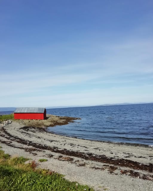 Discovery hike along the Trondheimsfjord - Korsvika gives you the first fjord views
