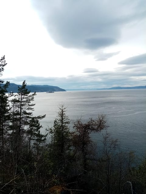 Discovery hike along the Trondheimsfjord - Devlebukta brings the route toward Rotvoll