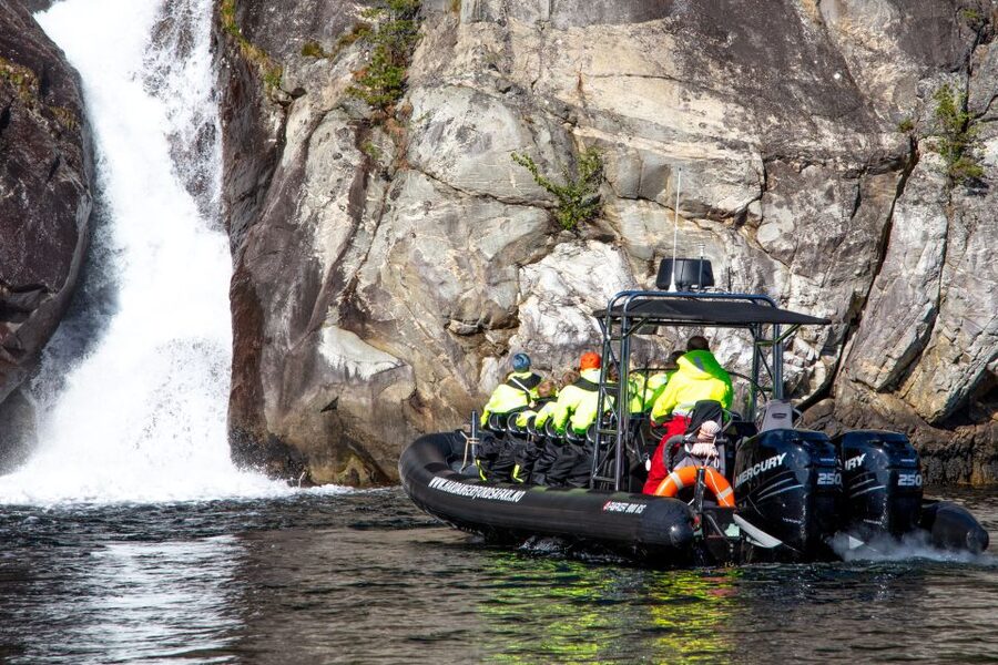 Eidfjord: 1-Hour Fjord RIB Tour - Who should book this Eidfjord tour?