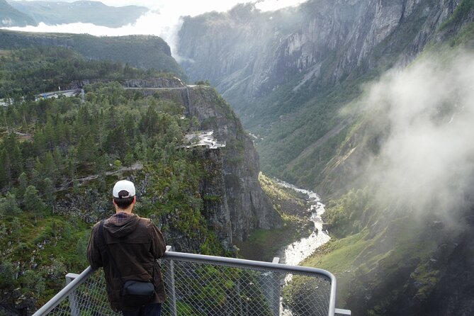 Eidfjord Guided tour Vøringfossen Waterfall & National Park - Why this mountain trip is worth your time