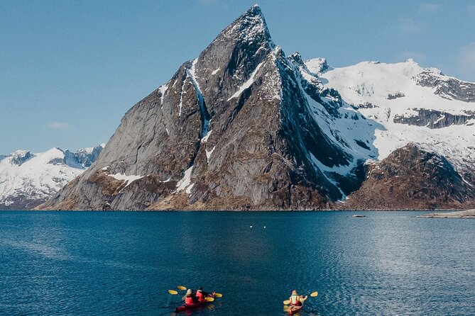 Explore Reinefjord by kayak (3 hours) - Key points to know before you paddle