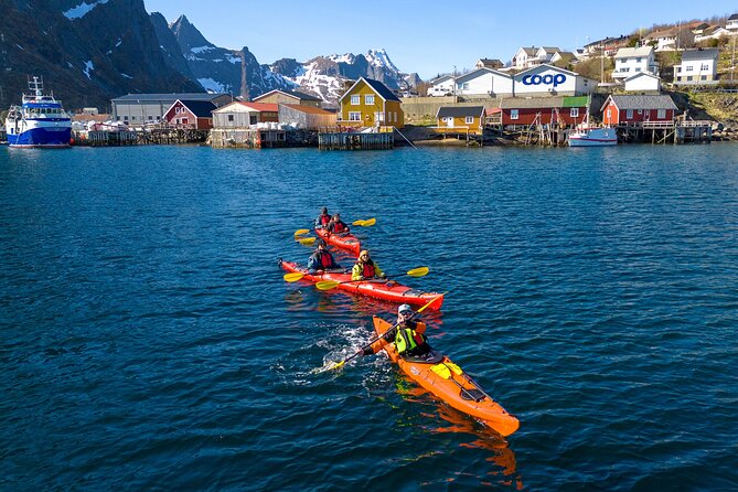 Explore Reinefjord by kayak (3 hours) - From Kjerkefjorden toward Reinefjorden